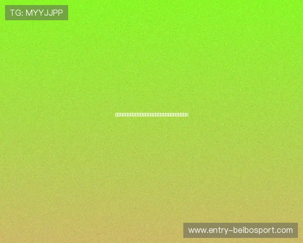 沃尔夫斯堡足球俱乐部历史与未来展望：从辉煌到挑战的转变之路